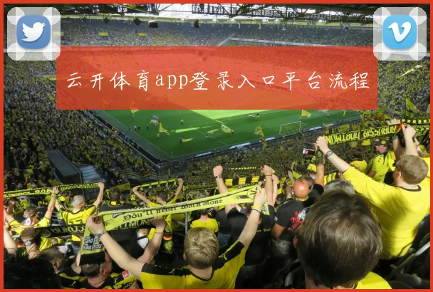 云开体育app登录入口平台流程
