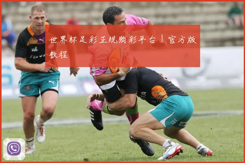 世界杯足彩正规购彩平台｜官方版教程