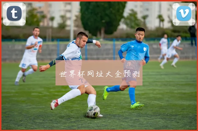 世界杯网址大全预测