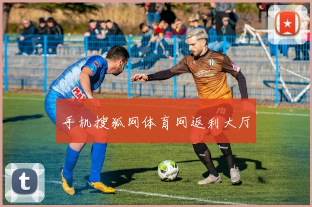 手机搜狐网体育网返利大厅