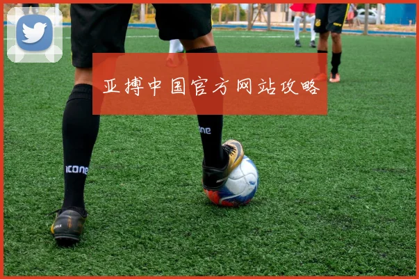 亚搏中国官方网站攻略
