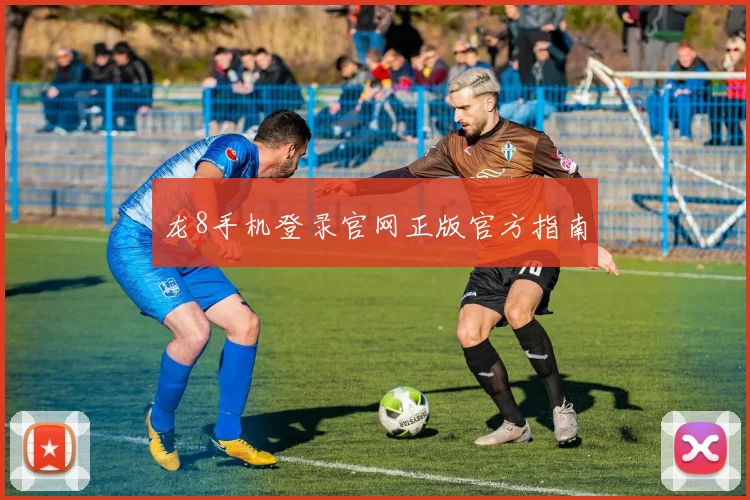 龙8手机登录官网正版官方指南