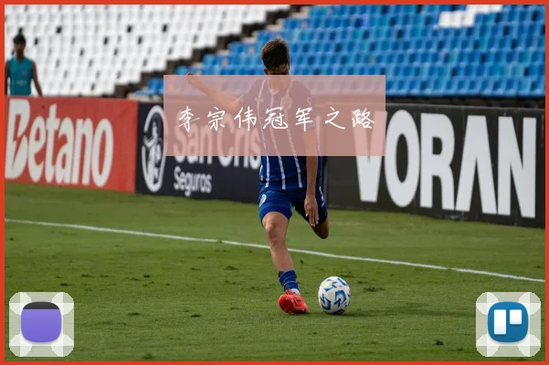 李宗伟冠军之路