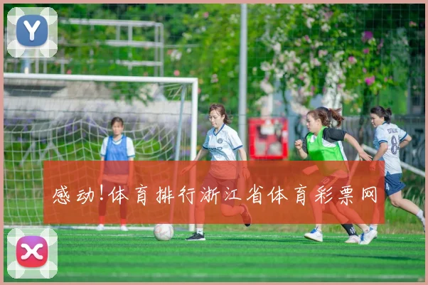 感动!体育排行浙江省体育彩票网