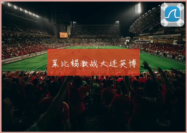 莱比锡激战大连英博