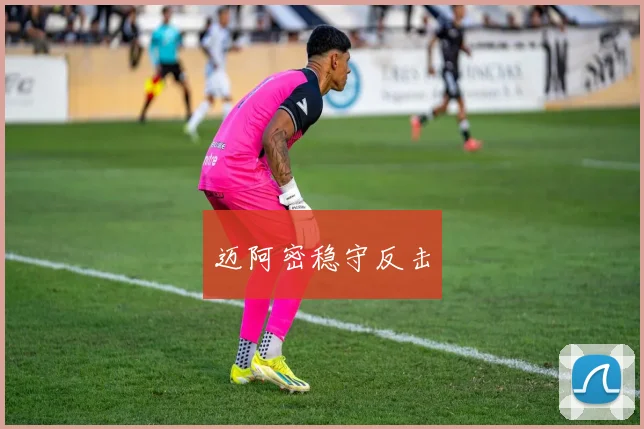迈阿密稳守反击