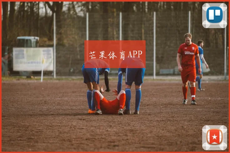 芒果体育APP