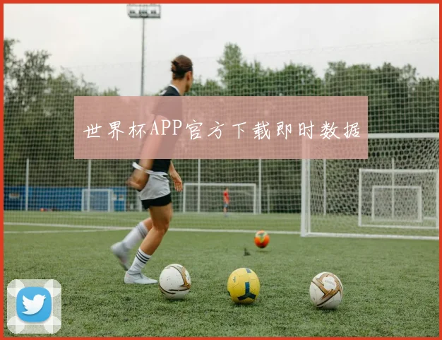 世界杯APP官方下载即时数据