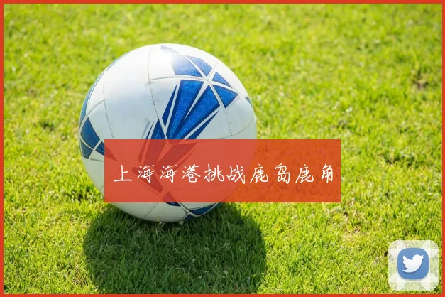 上海海港挑战鹿岛鹿角