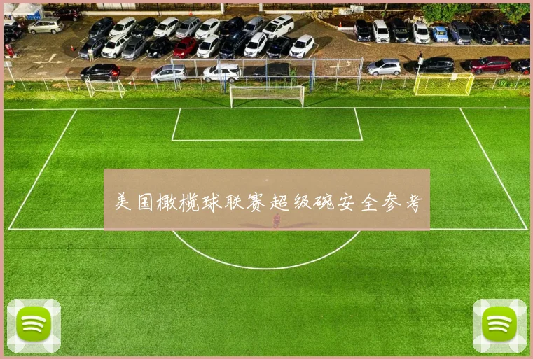 美国橄榄球联赛超级碗安全参考