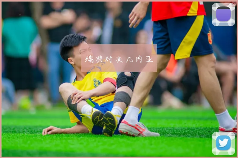 瑞典对决几内亚