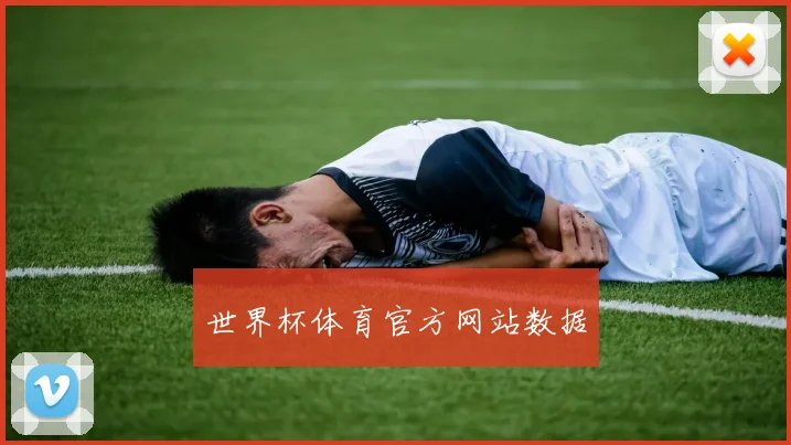 世界杯体育官方网站数据