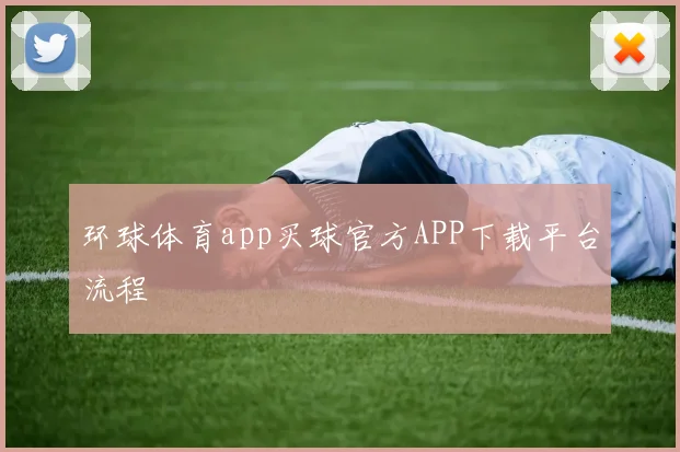 环球体育app买球官方APP下载平台流程