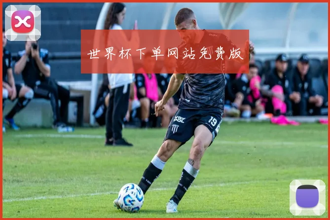 世界杯下单网站免费版