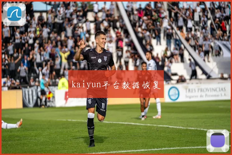 kaiyun平台数据恢复