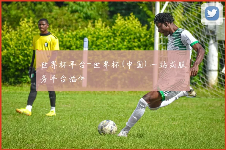 世界杯平台-世界杯(中国)一站式服务平台插件