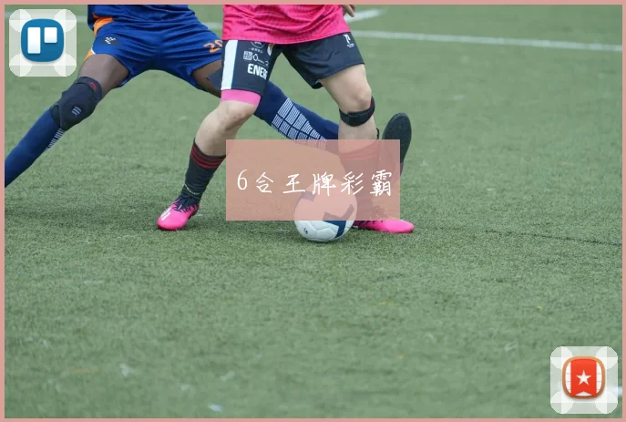 6合王牌彩霸