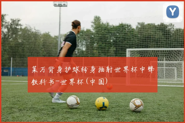 莱万背身护球转身抽射世界杯中锋教科书-世界杯(中国)
