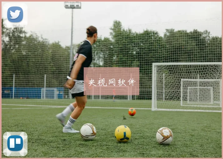 央视网软件