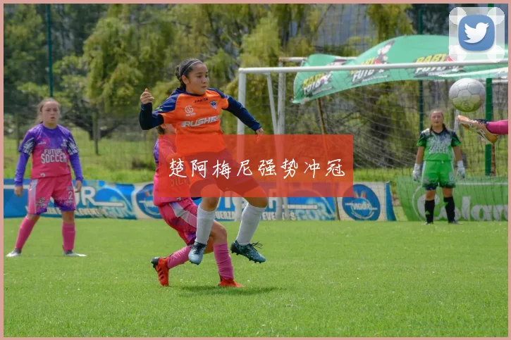 楚阿梅尼强势冲冠