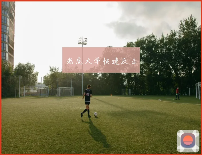 老虎大学快速反击