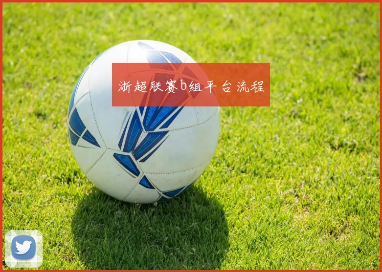 浙超联赛b组平台流程