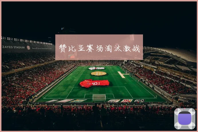 赞比亚赛场淘汰激战