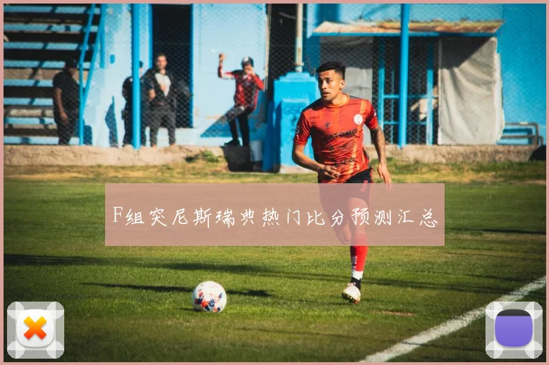F组突尼斯瑞典热门比分预测汇总