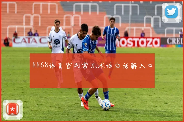 8868体育官网常见术语白话解入口