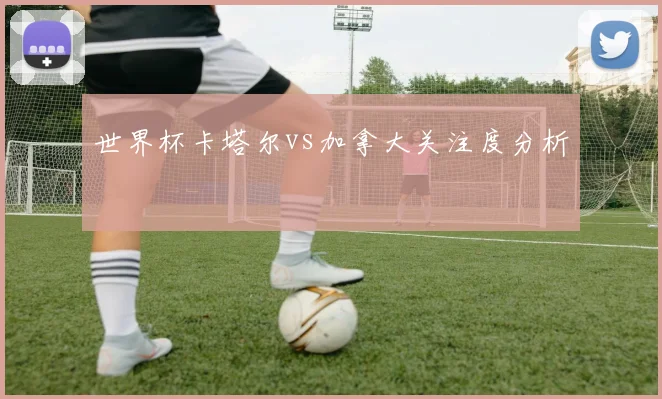 世界杯卡塔尔vs加拿大关注度分析